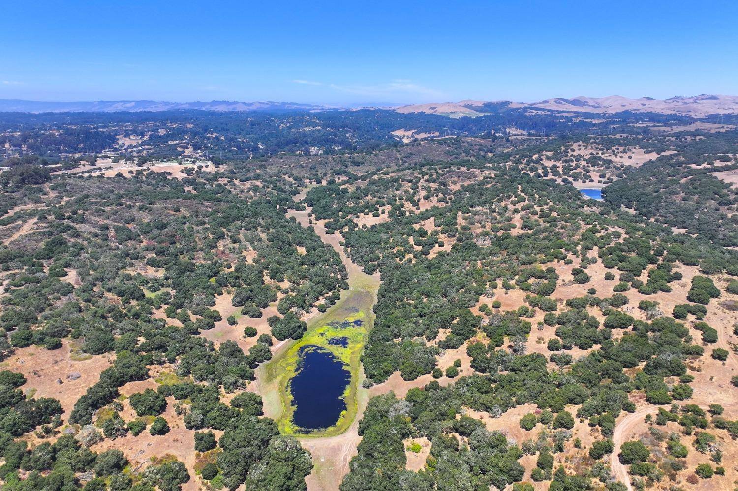 Salinas, CA 93906,0 San Juan Grade RD