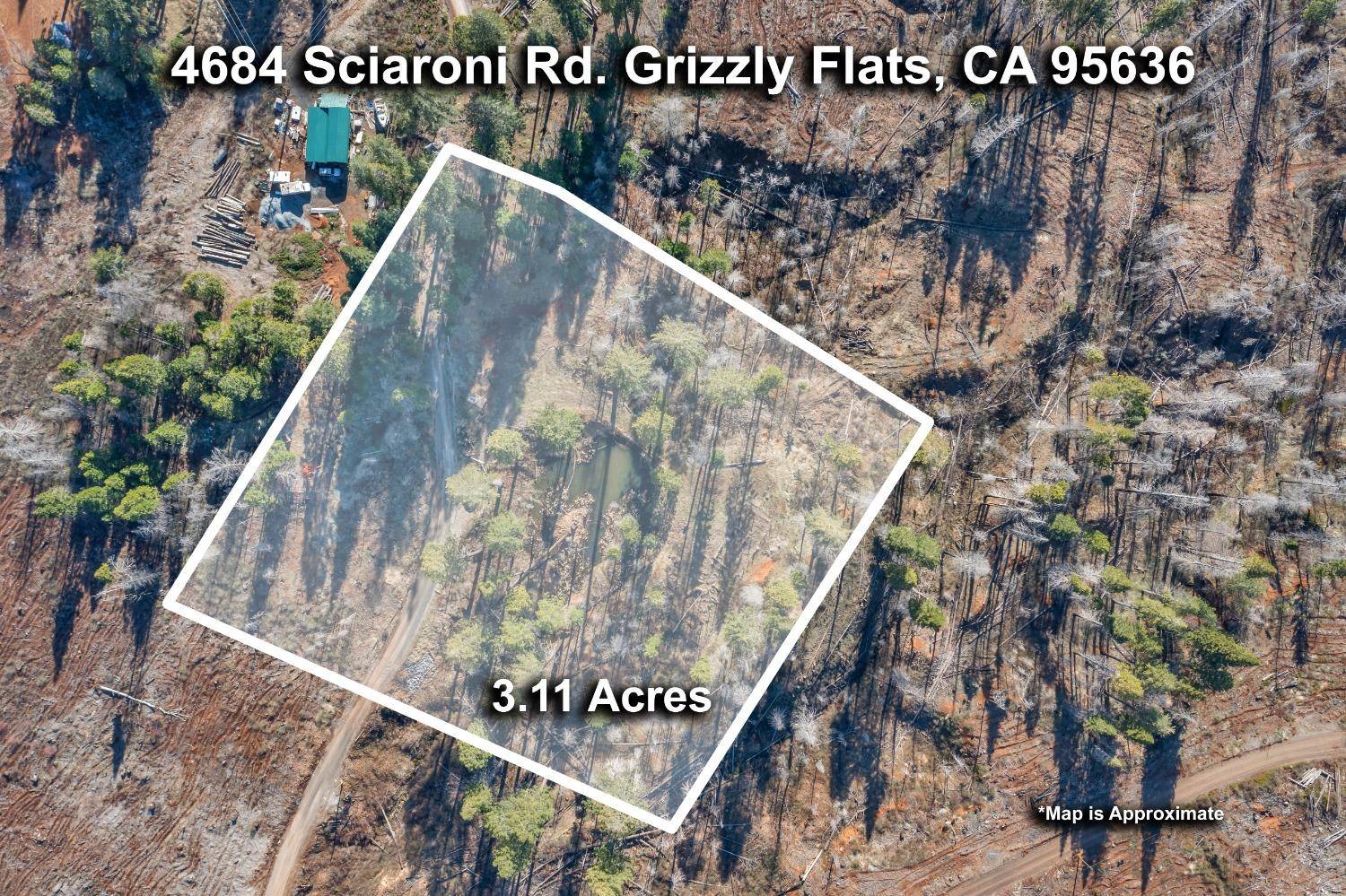 Grizzly Flats, CA 95636,4684 Sciaroni RD