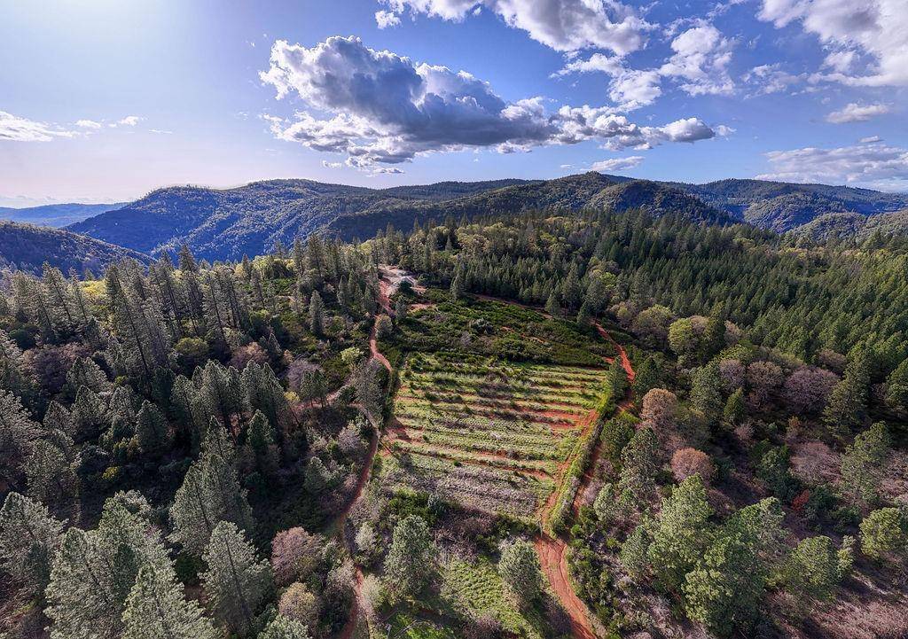 North San Juan, CA 95960,10571 Sebastopol RD