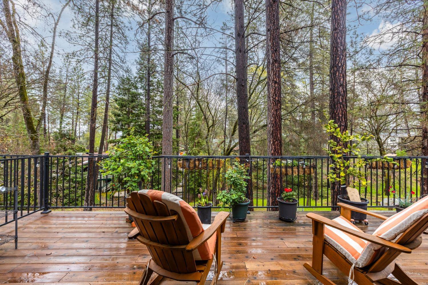 Penn Valley, CA 95946,19662 Chaparral CIR