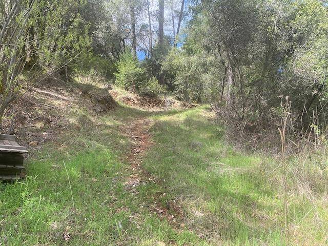Grass Valley, CA 95949,17214 Scopar RD