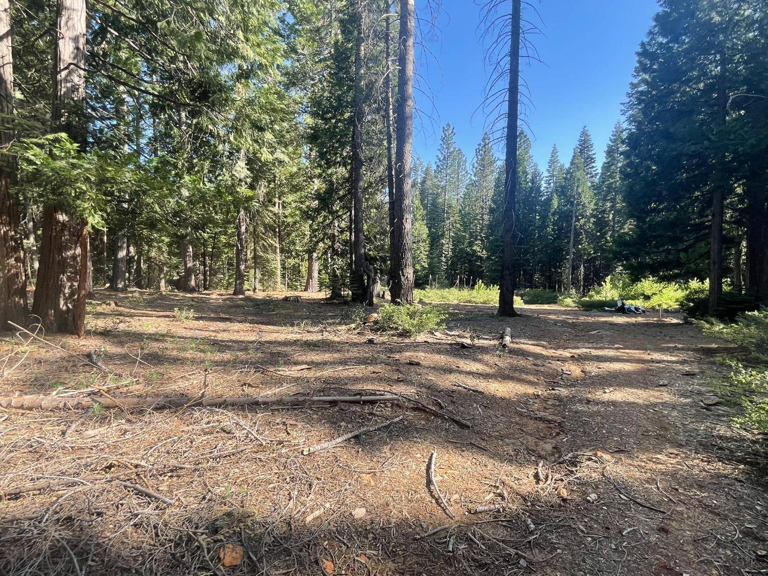 Nevada City, CA 95959,16070 Ophir Silver RD