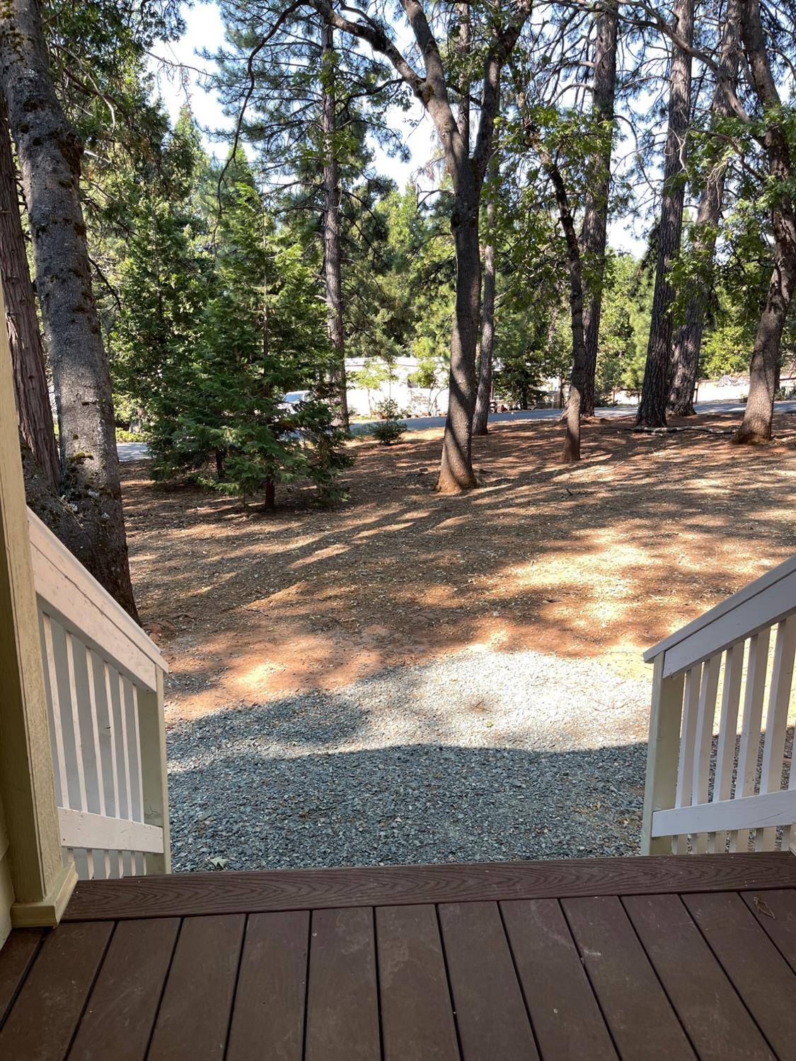 Pioneer, CA 95666,23750 Carson Dr #38