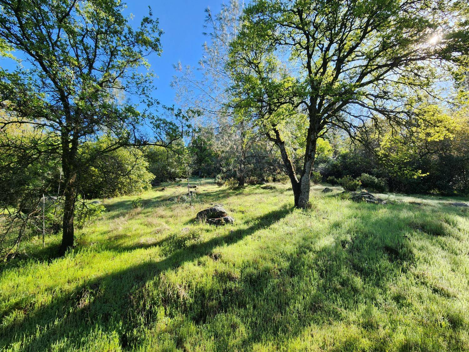 Penn Valley, CA 95946,19994 John Born RD