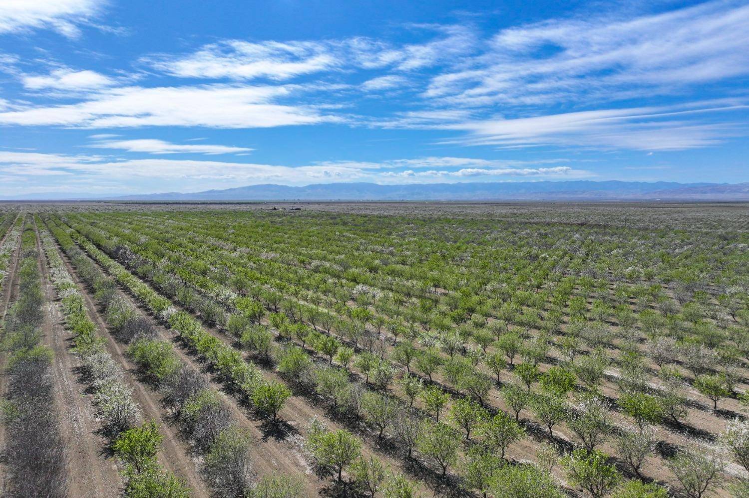 Cantua Creek, CA 93608,12481 S Calaveras AVE