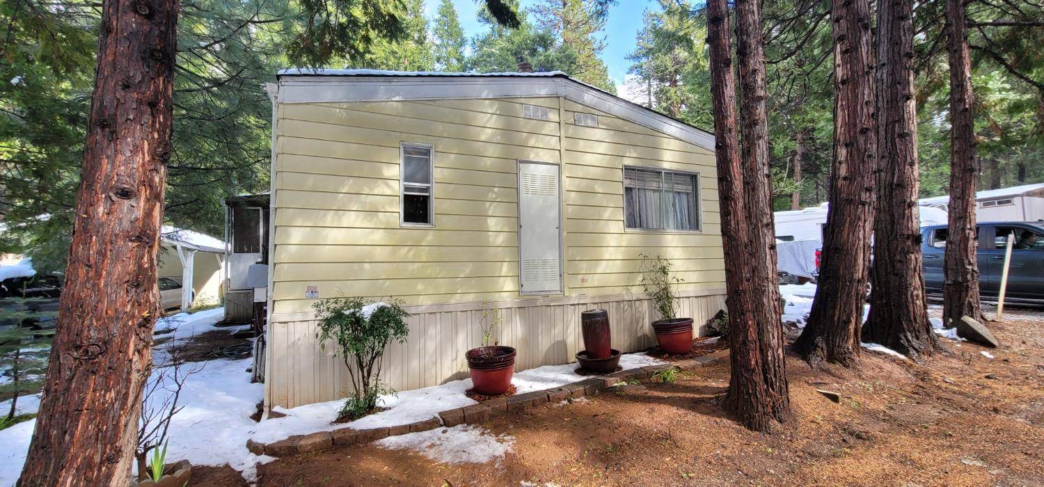 Pioneer, CA 95666,16565 Prospect #29