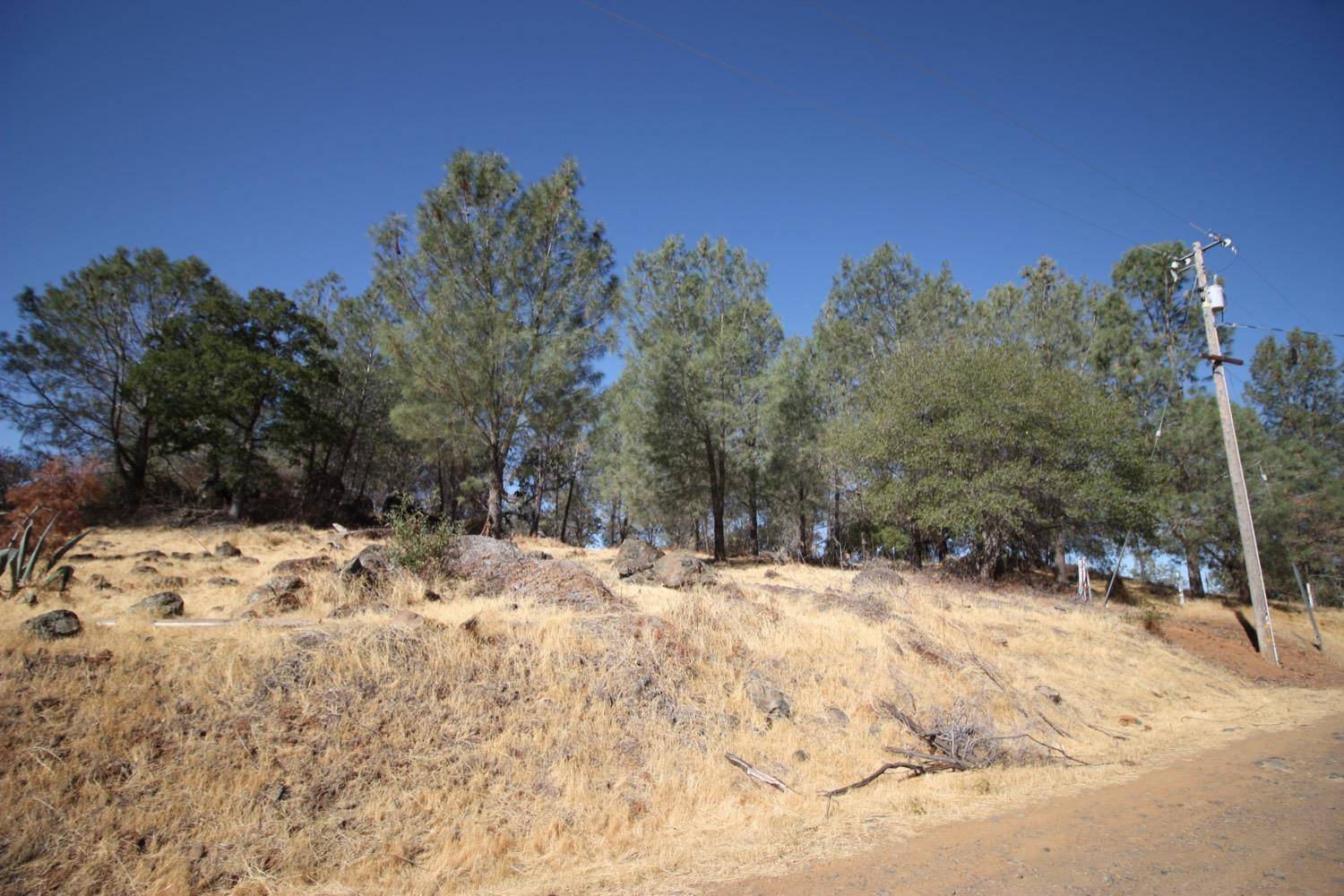 Smartsville, CA 95977,12068 Shepard RD