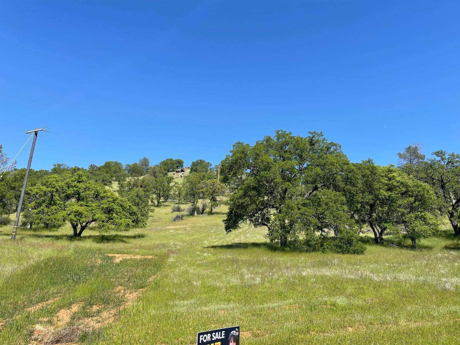 La Grange, CA 95329,0 Castillo WAY