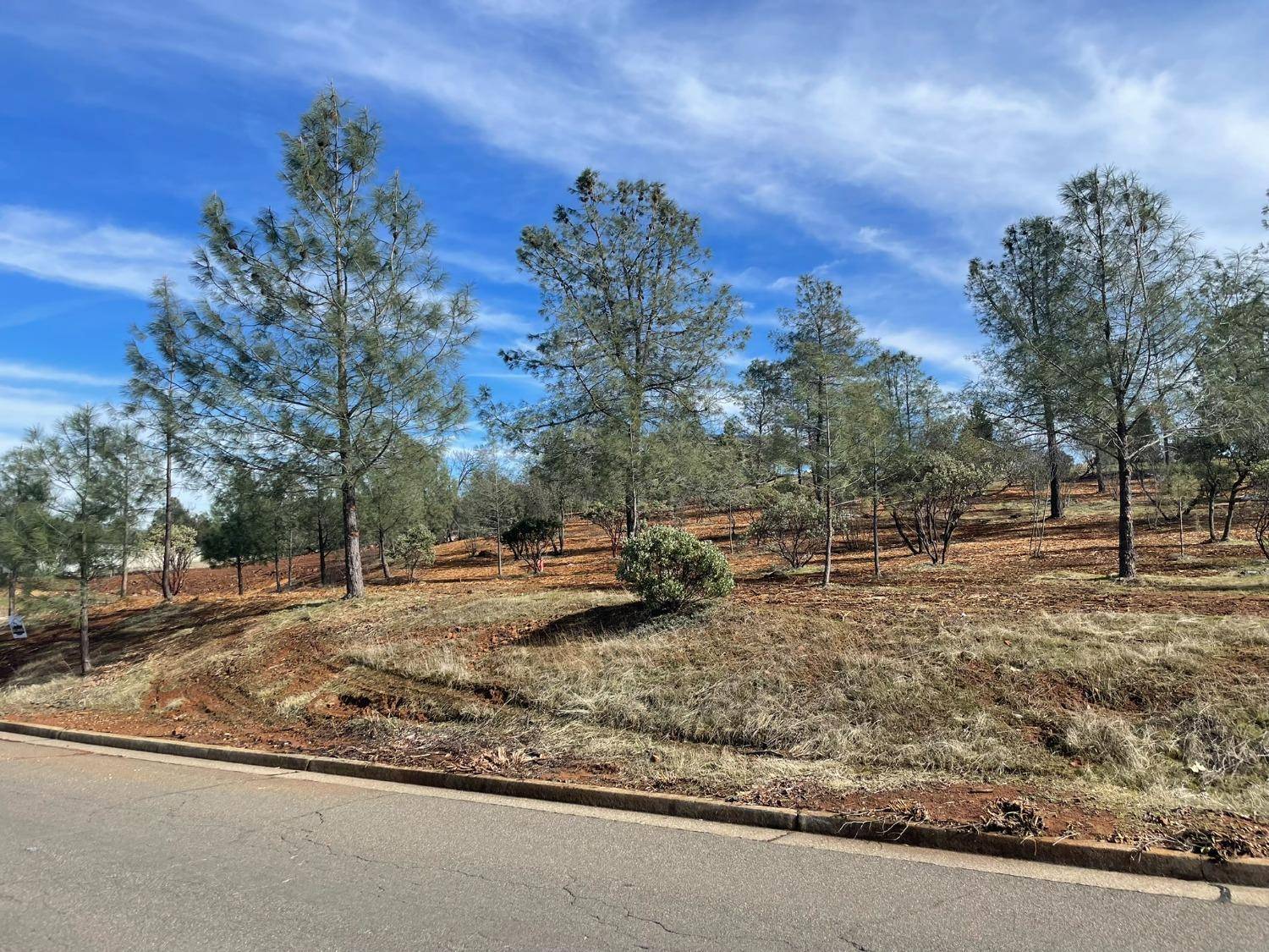 Shingle Springs, CA 95682,0 Product DR