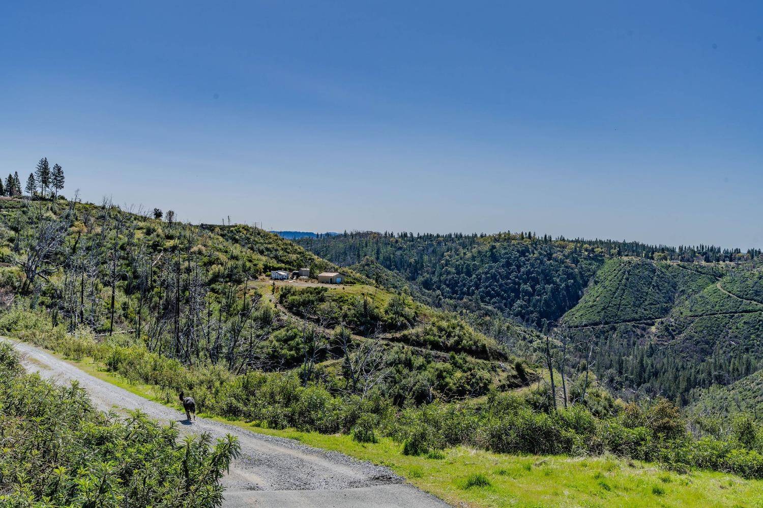 Mokelumne Hill, CA 95245,18616 Old Greek Mine RD