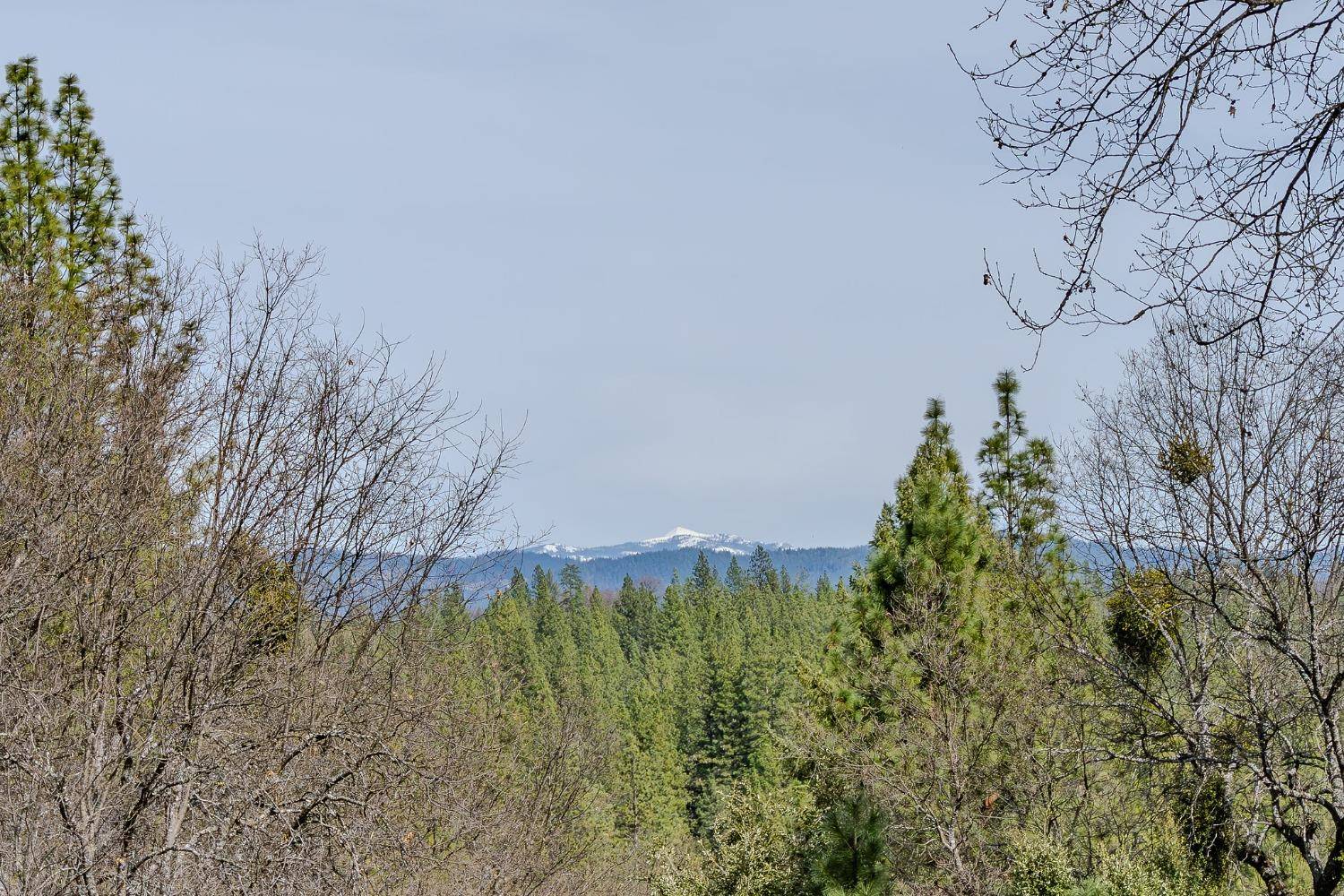 Rail Road Flat, CA 95248,2383 Independence