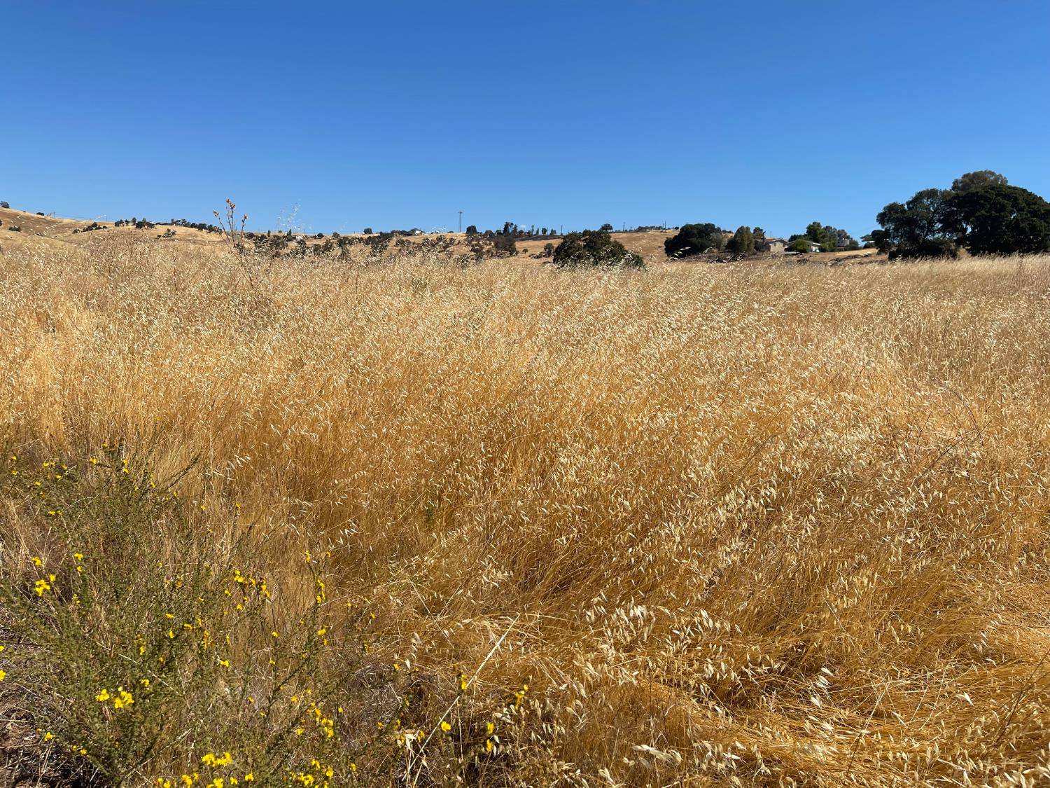 La Grange, CA 95329,9588 Paraiso BLVD
