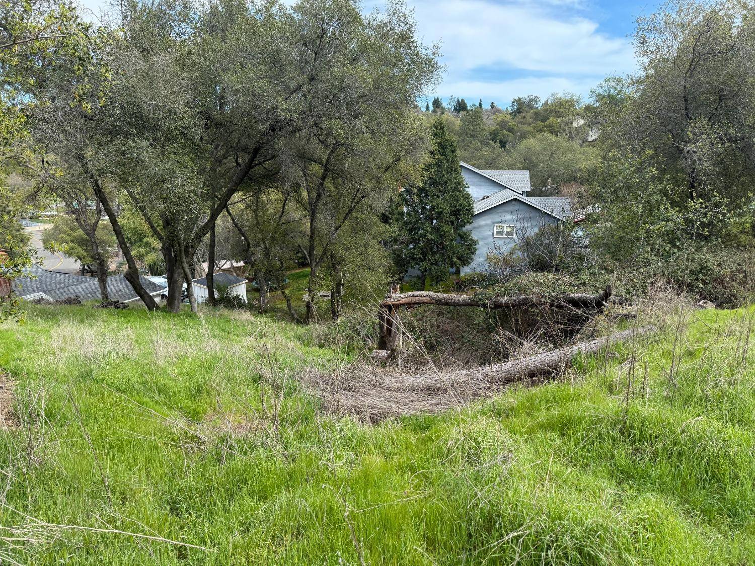 El Dorado Hills, CA 95762,531 Torero WAY