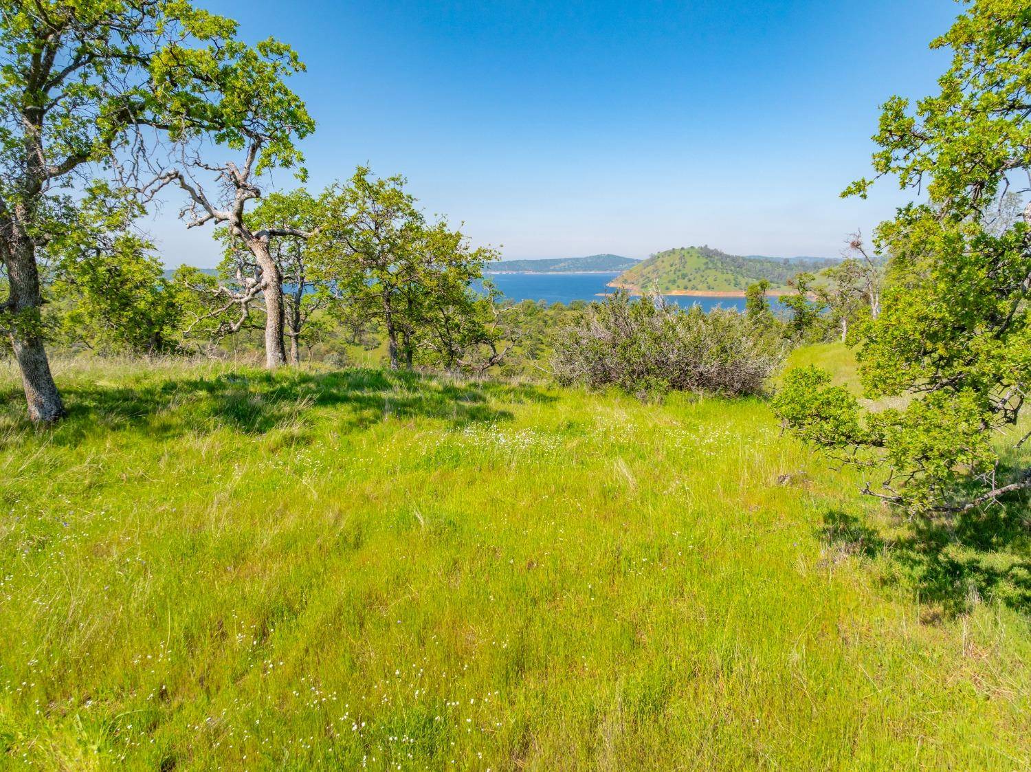 La Grange, CA 95329,TBD Hoyito CIR