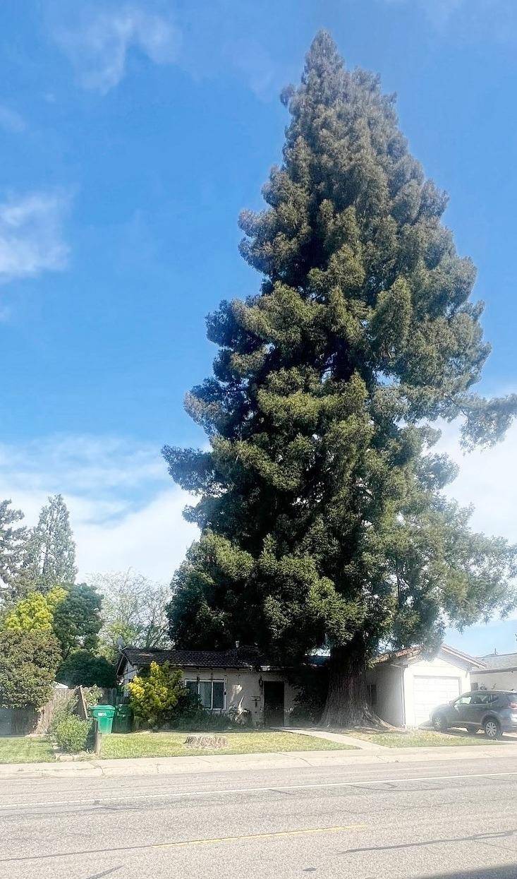 Lodi, CA 95242,728 N Mills AVE