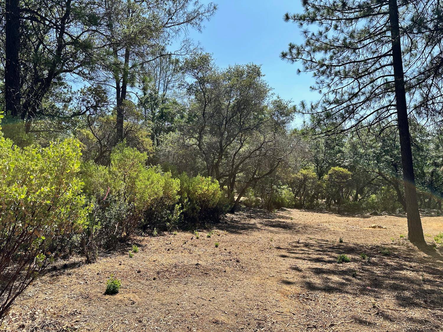 Meadow Vista, CA 95722,Lot 393 E Summit View DR