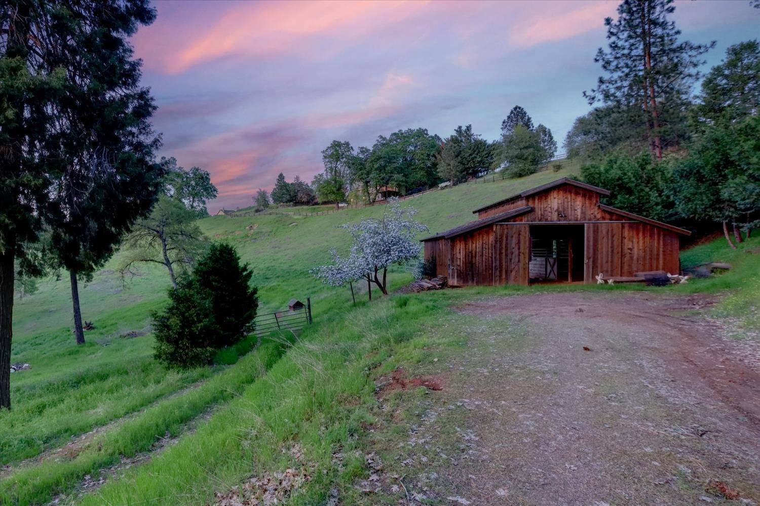 Grass Valley, CA 95949,12368 Appaloosa CT