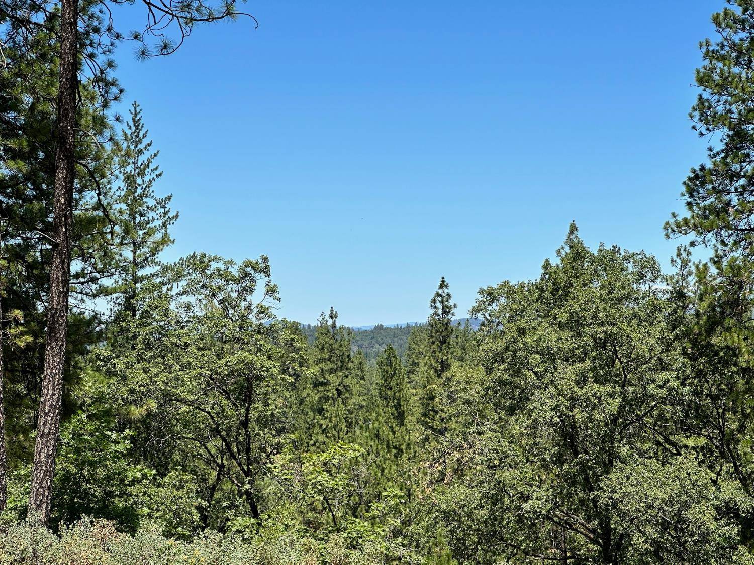 Meadow Vista, CA 95722,Lot 400 E Summit View DR