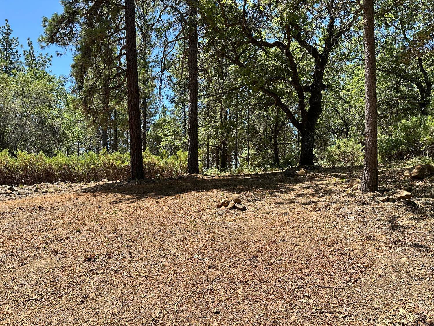 Meadow Vista, CA 95722,Lot 401 Winchester Club DR