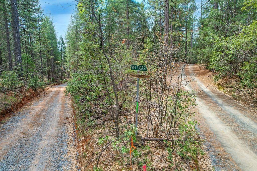 Georgetown, CA 95634,7331 Grey Eagle RD