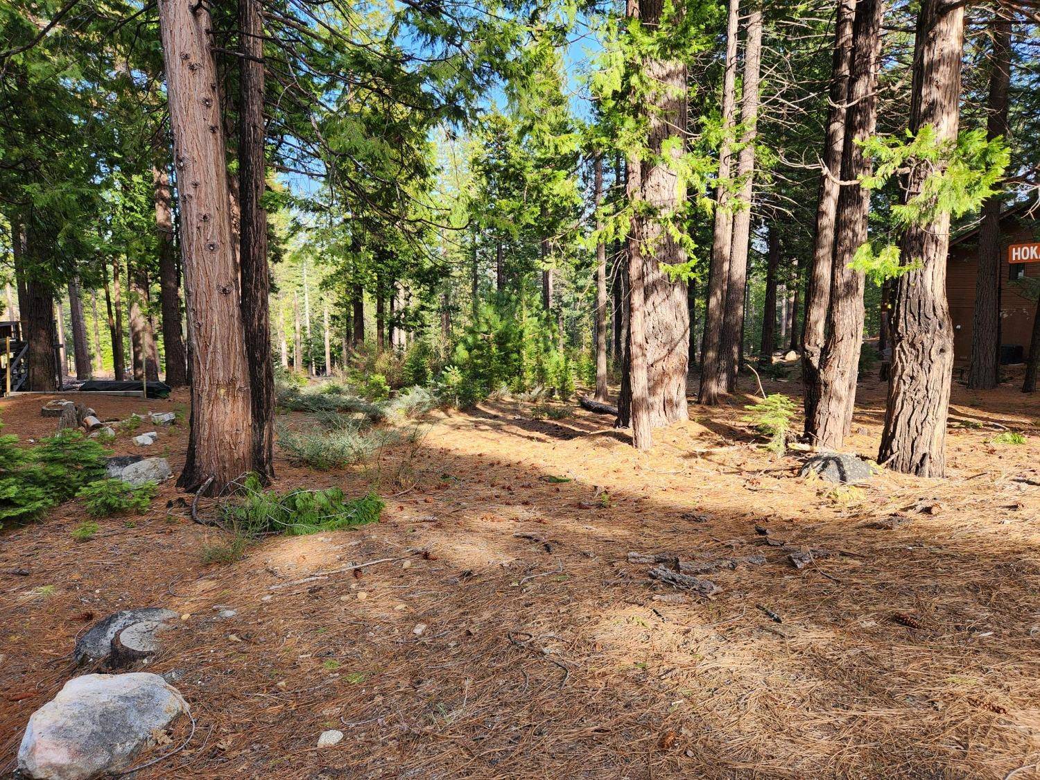 Camp Connell, CA 95223,5340 Meko DR