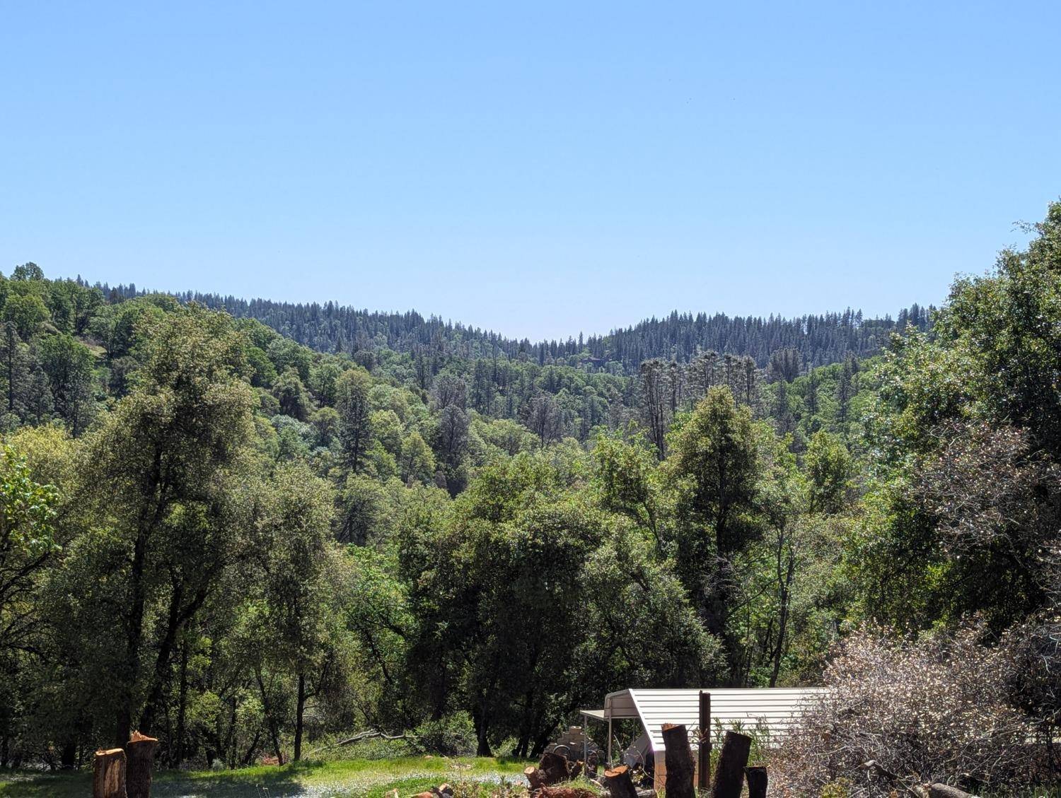 Grass Valley, CA 95949,19128 Buck Ridge RD