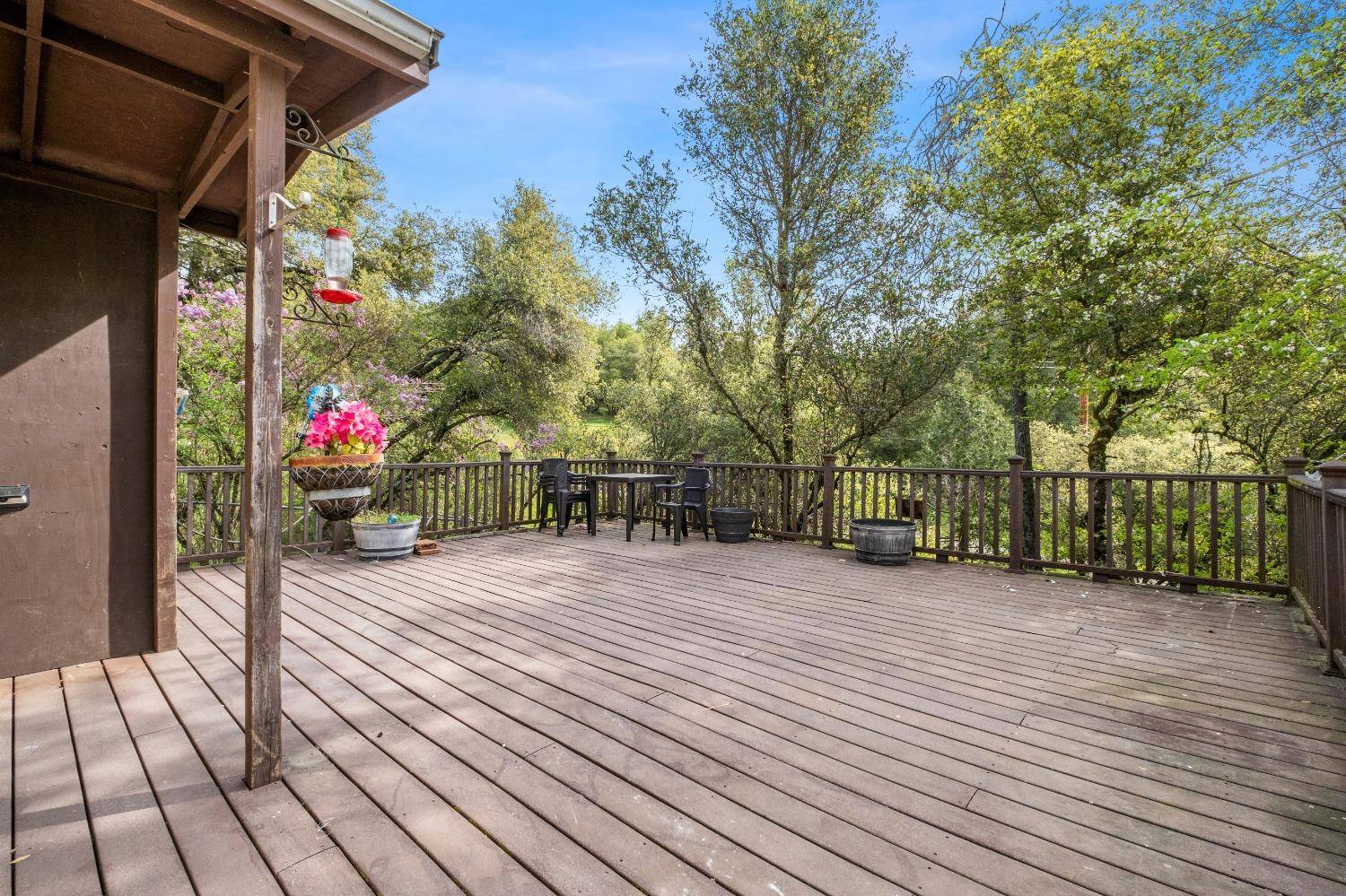 Fiddletown, CA 95629,16315 Mount Whitney DR