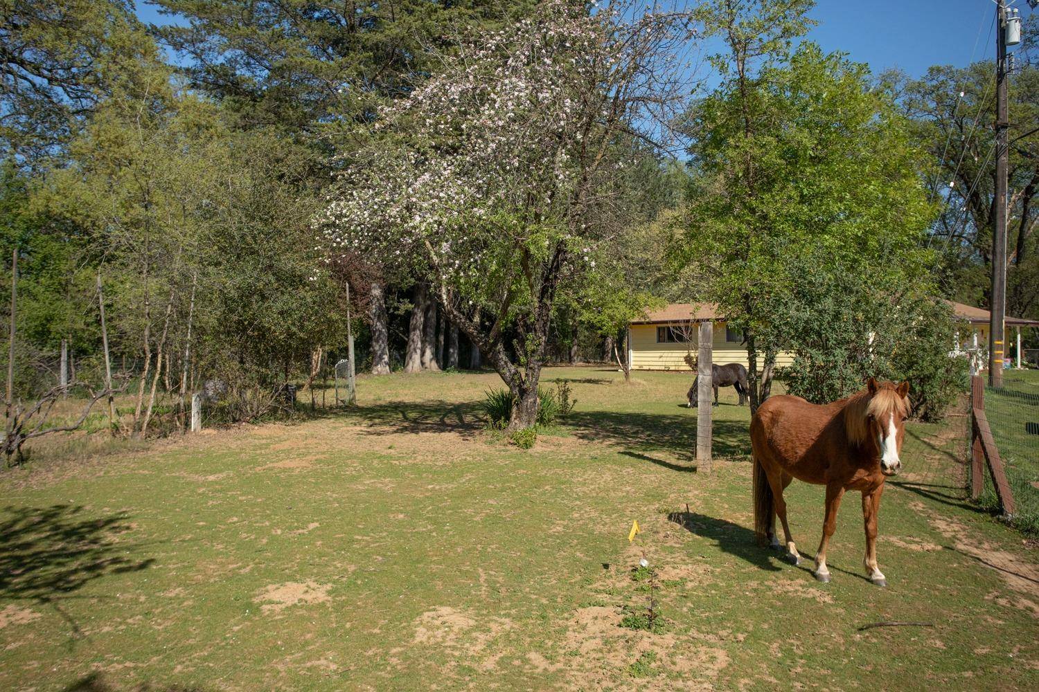 Penn Valley, CA 95946,17098 Clover RD