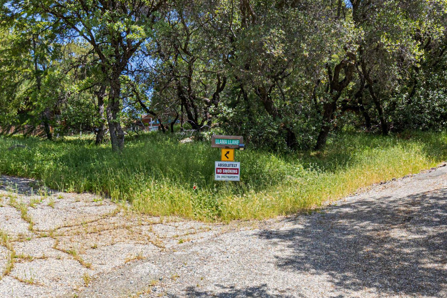 Auburn, CA 95602,3120 Iron Mine RD