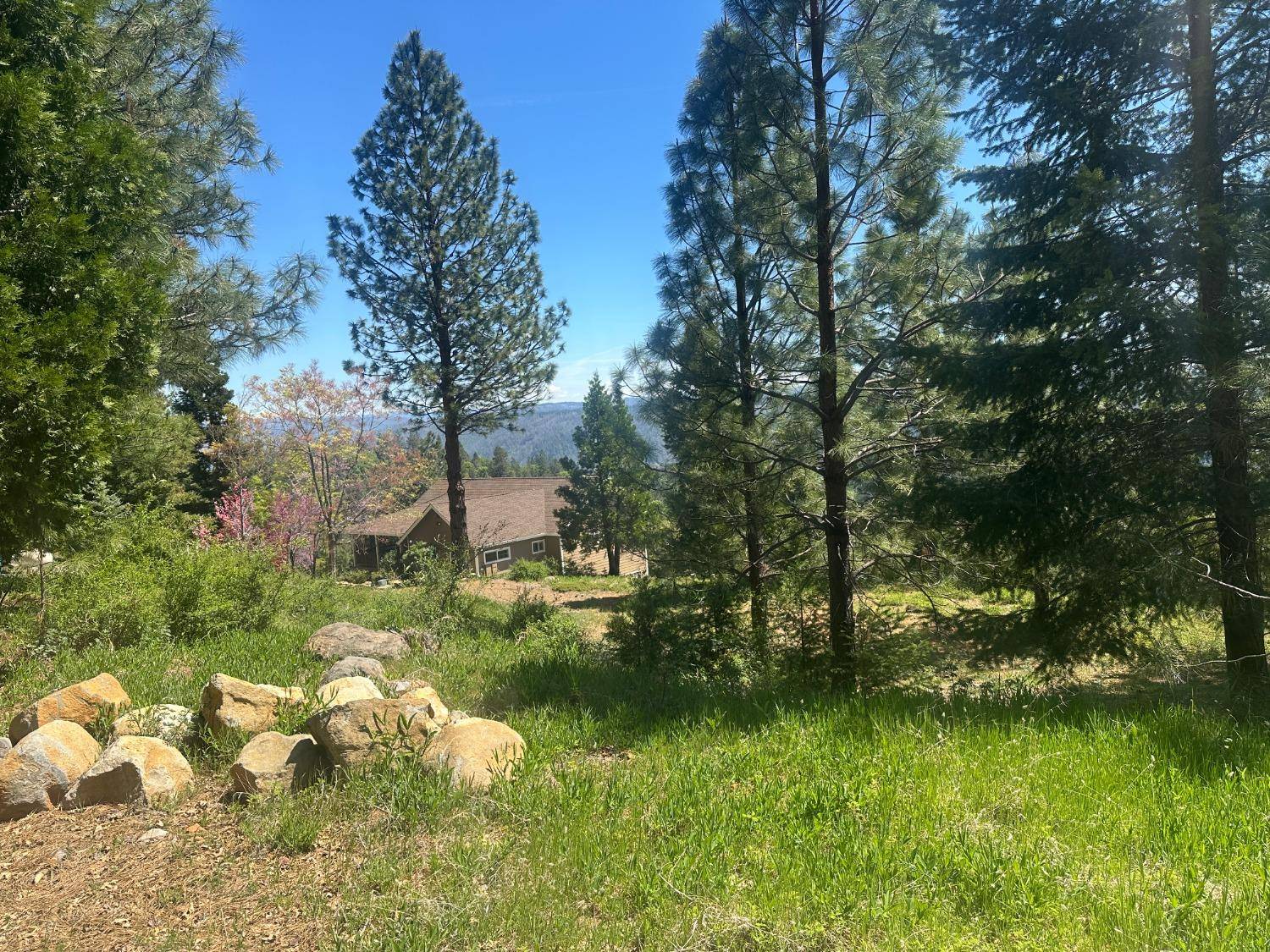 Foresthill, CA 95631,6230 Church ST