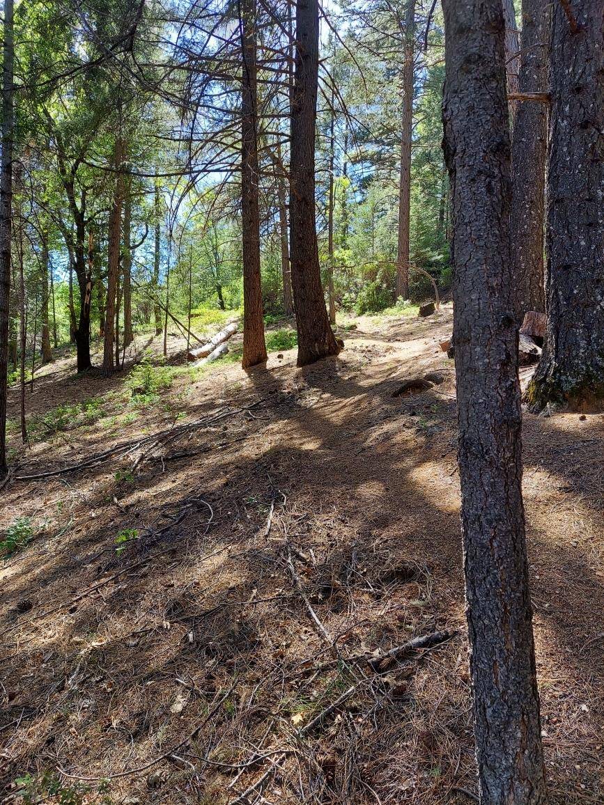 Nevada City, CA 95959,20100 Grizzly Creek RD
