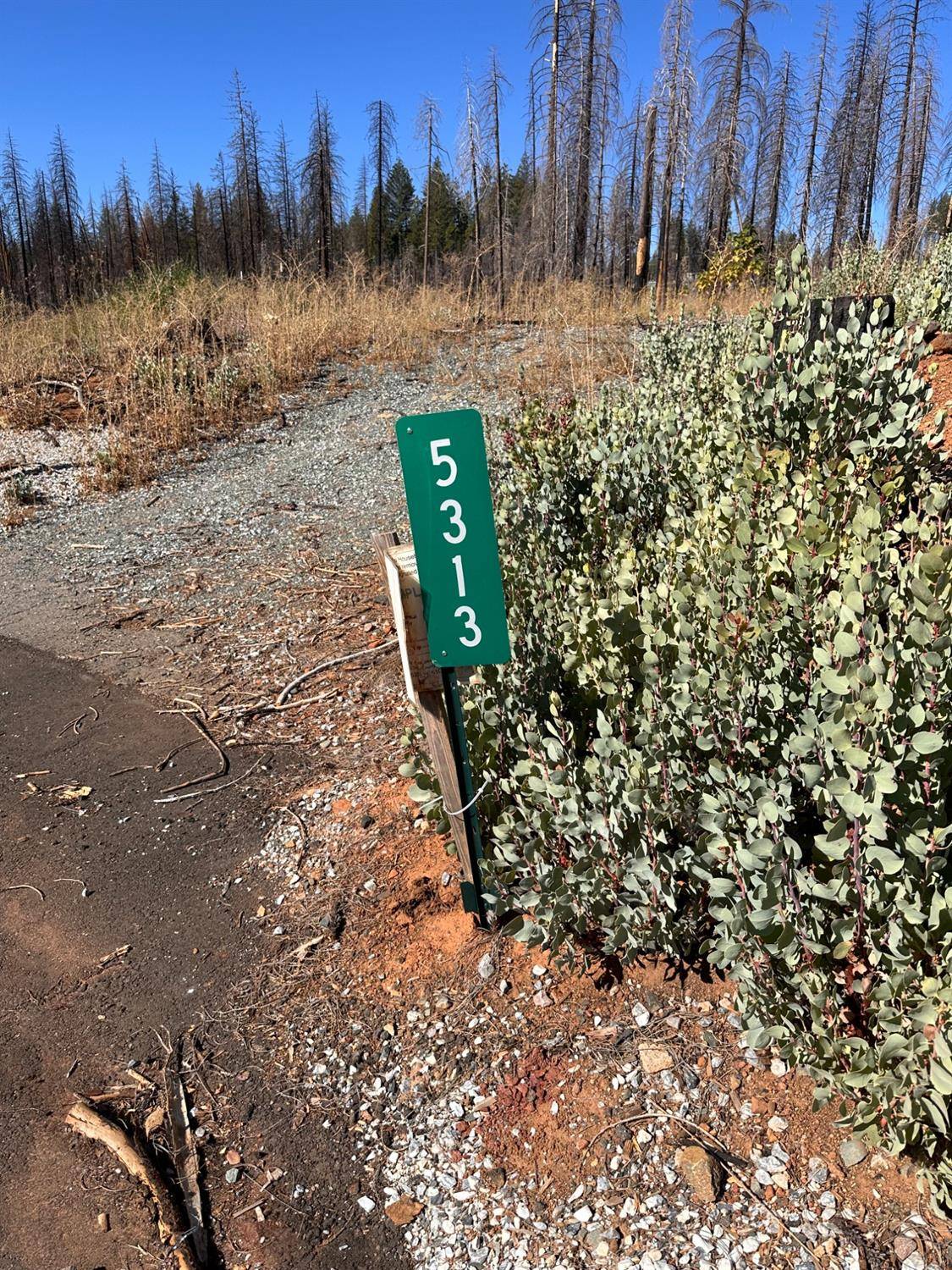 Grizzly Flats, CA 95636,5313 Wooded Glen RD