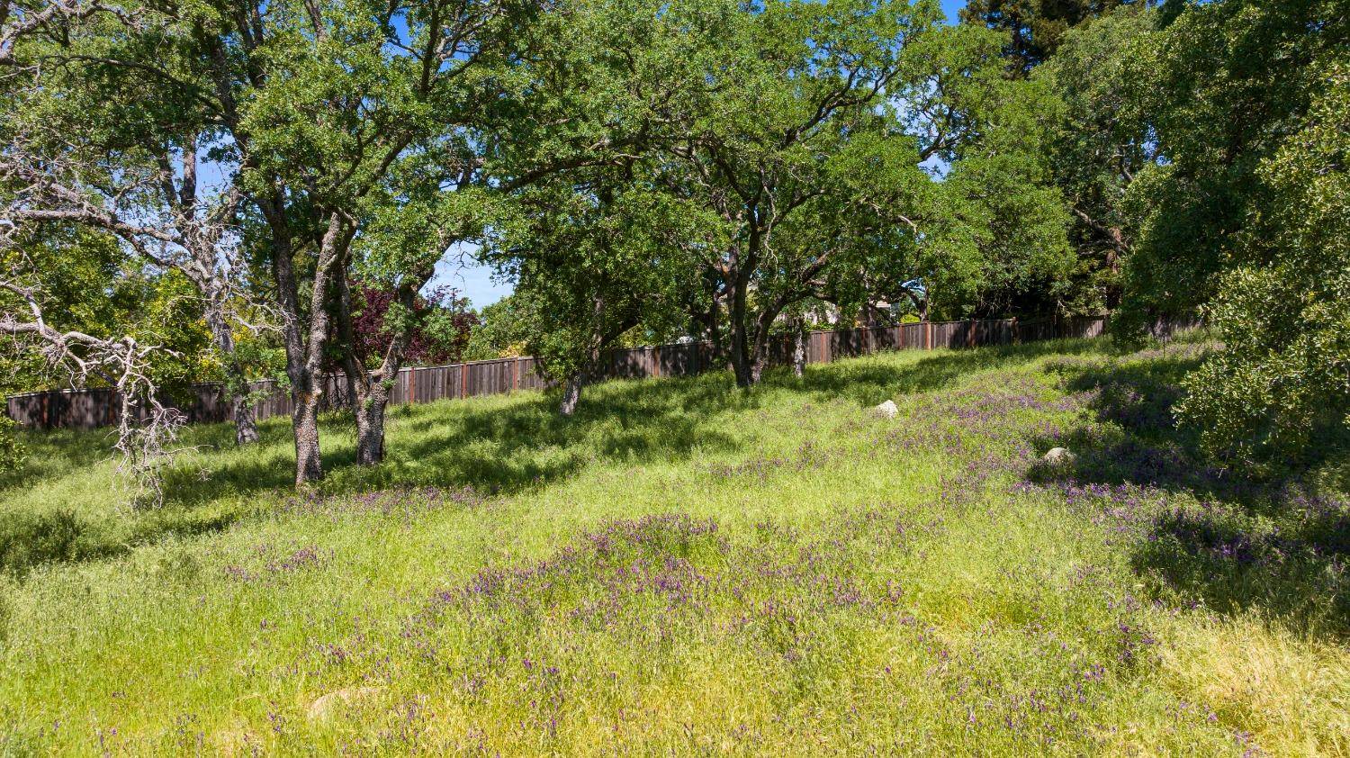 El Dorado Hills, CA 95762,3641 Roble CT