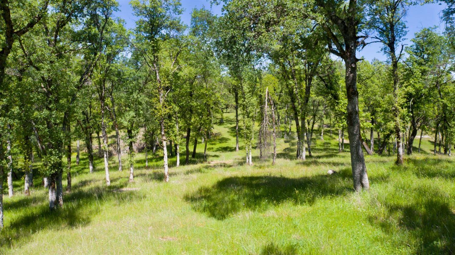 Grass Valley, CA 95949,22565 Queequog RD