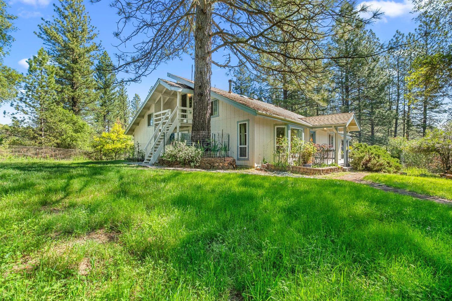 Fiddletown, CA 95629,16080 Mount Whitney DR