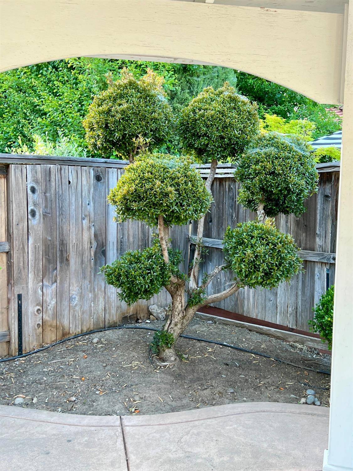 Lodi, CA 95242,2205 Katzakian WAY