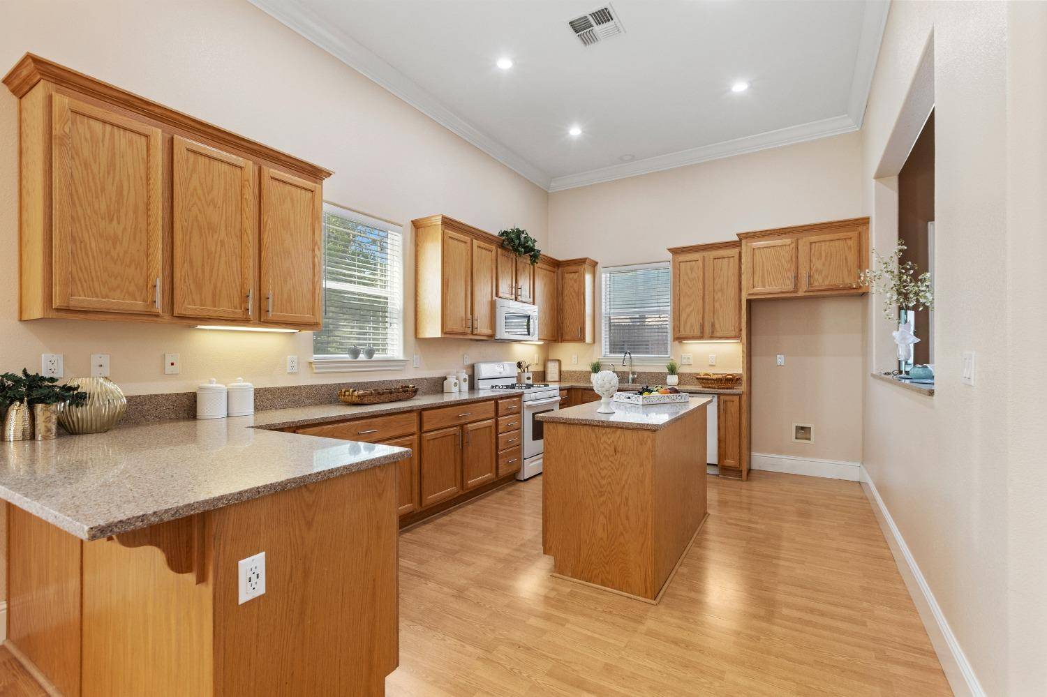 Elk Grove, CA 95624,8839 SAN BADGER WAY