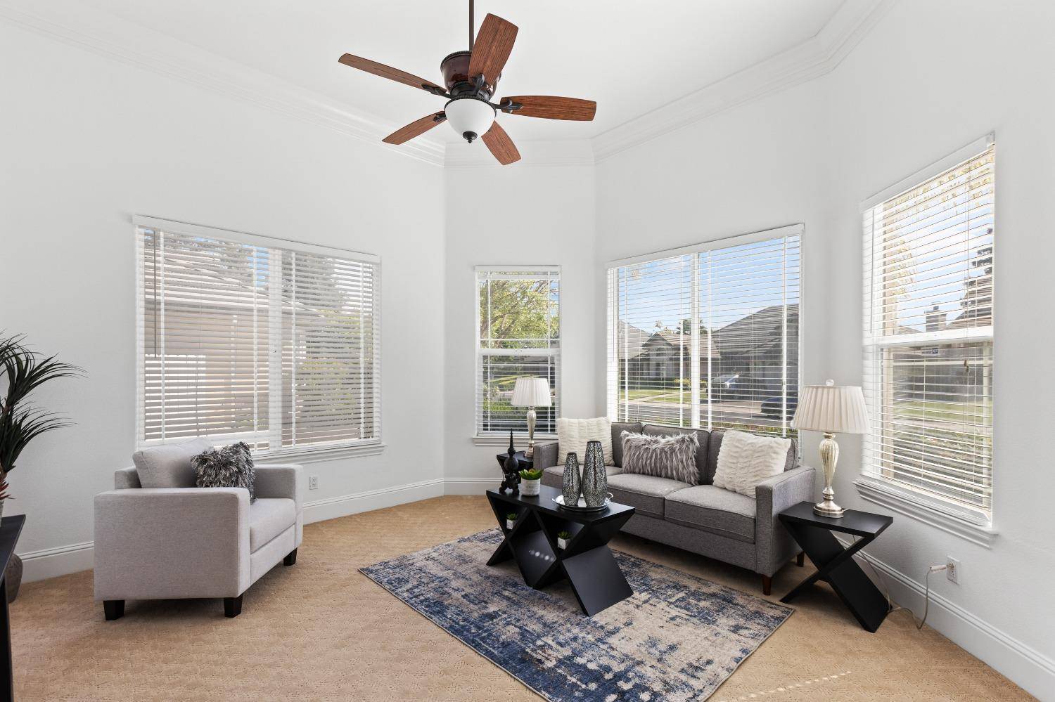 Elk Grove, CA 95624,8839 SAN BADGER WAY