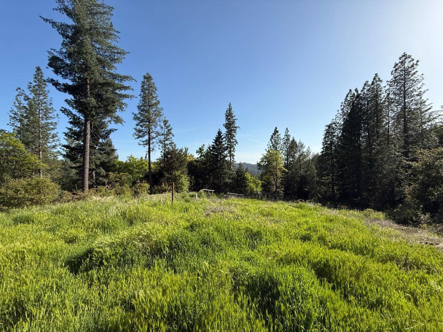 Nevada City, CA 95959,19810 Grizzly Creek RD