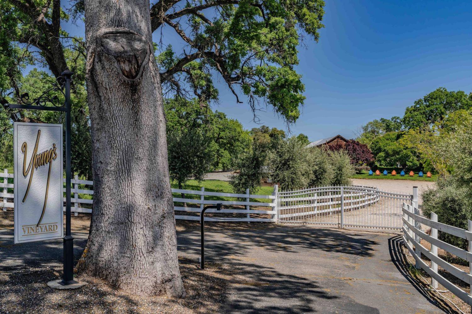 Plymouth, CA 95669,10120 Shenandoah Rd