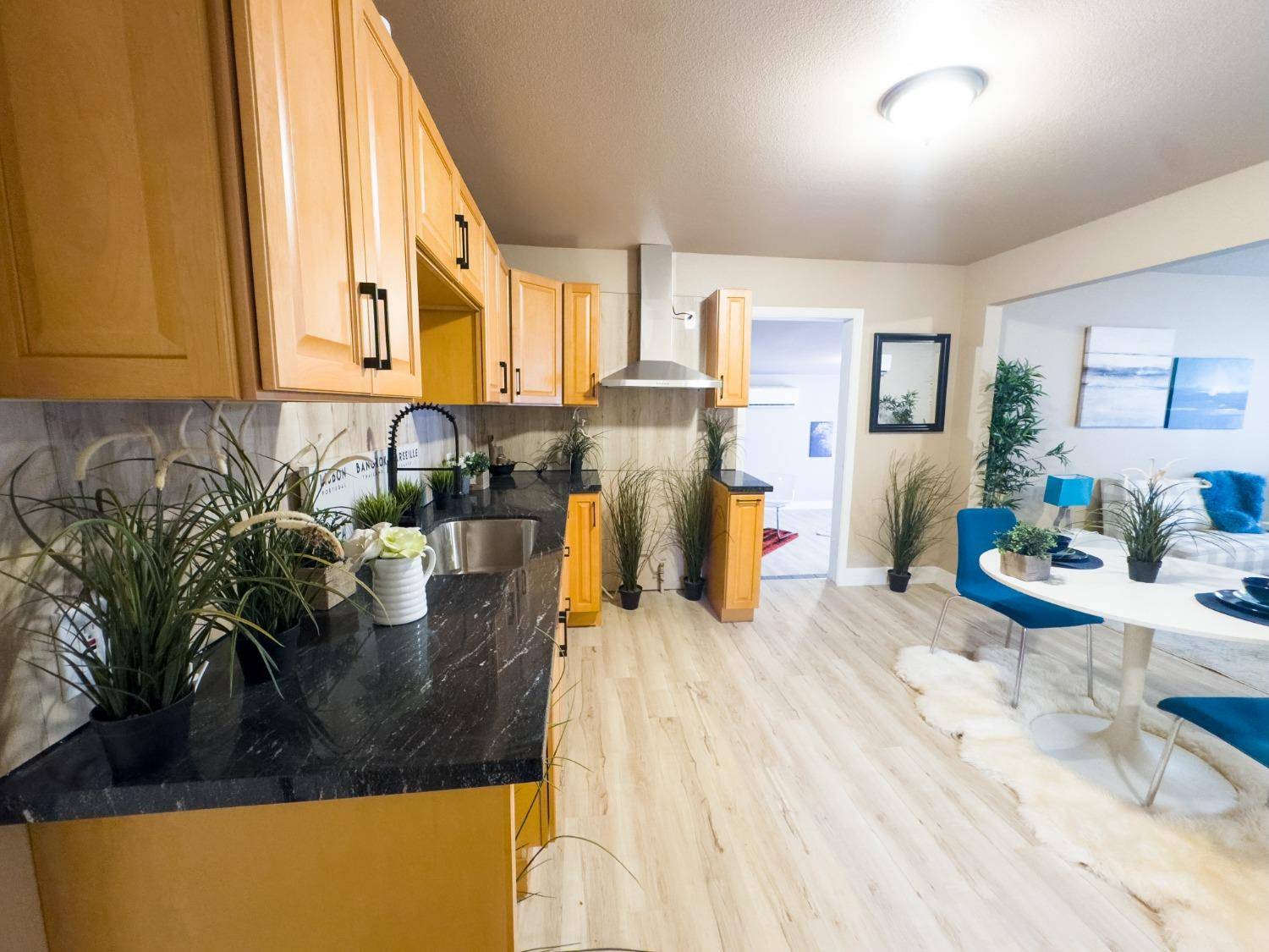 Modesto, CA 95358,1223 Lassen AVE