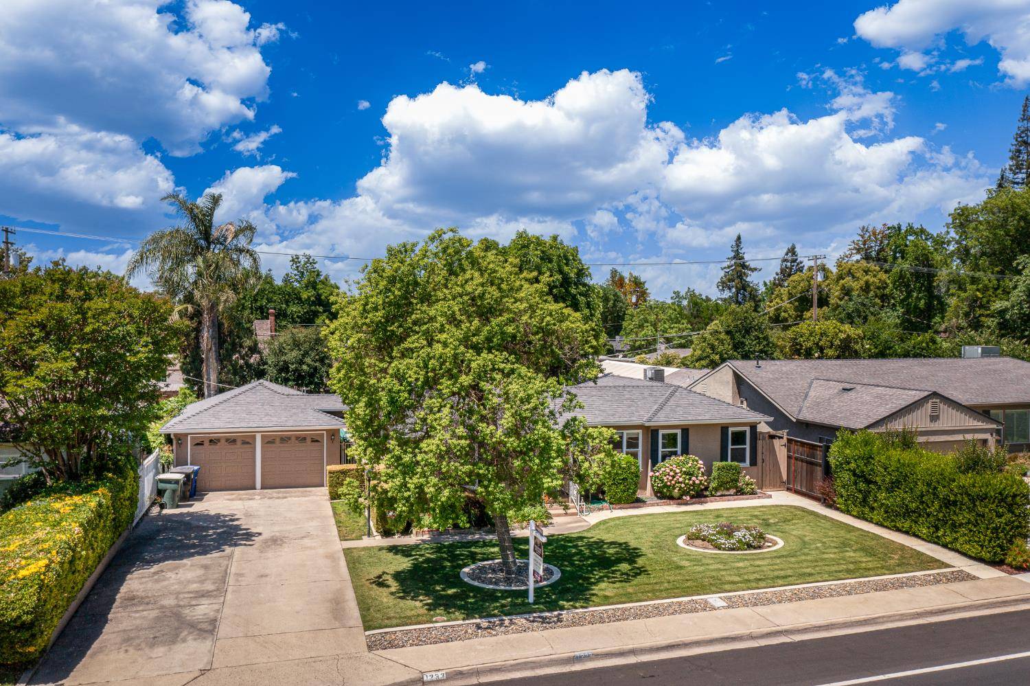 Modesto, CA 95350,1233 Sycamore