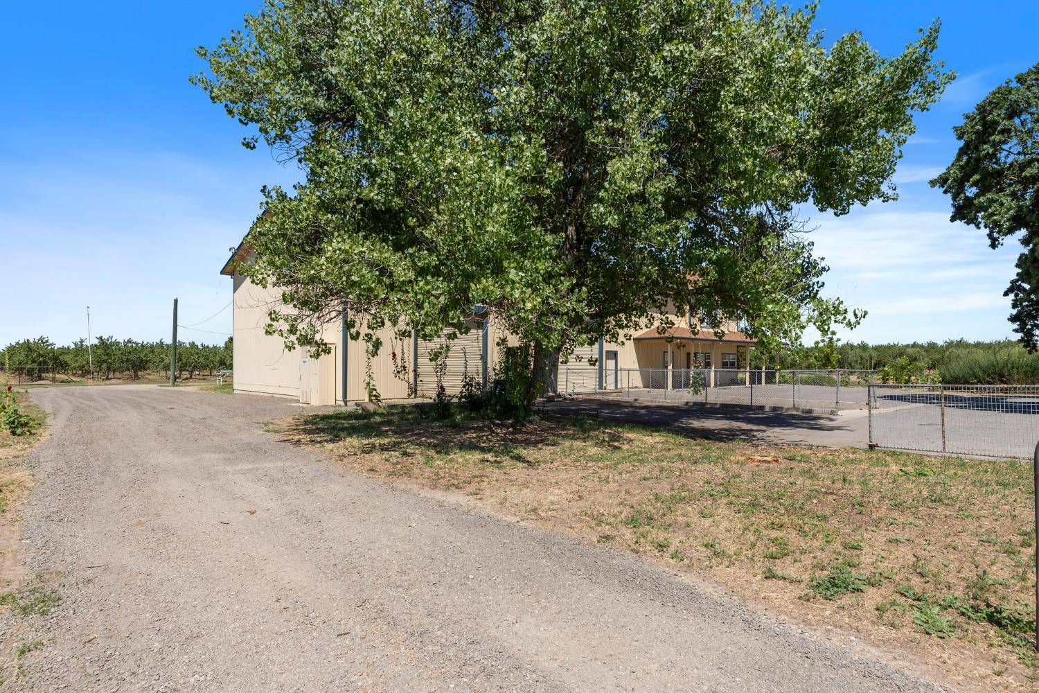 Escalon, CA 95320,16161 S Murphy RD