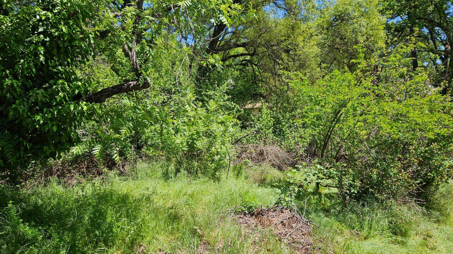 Placerville, CA 95667,0 Lincoln ALY