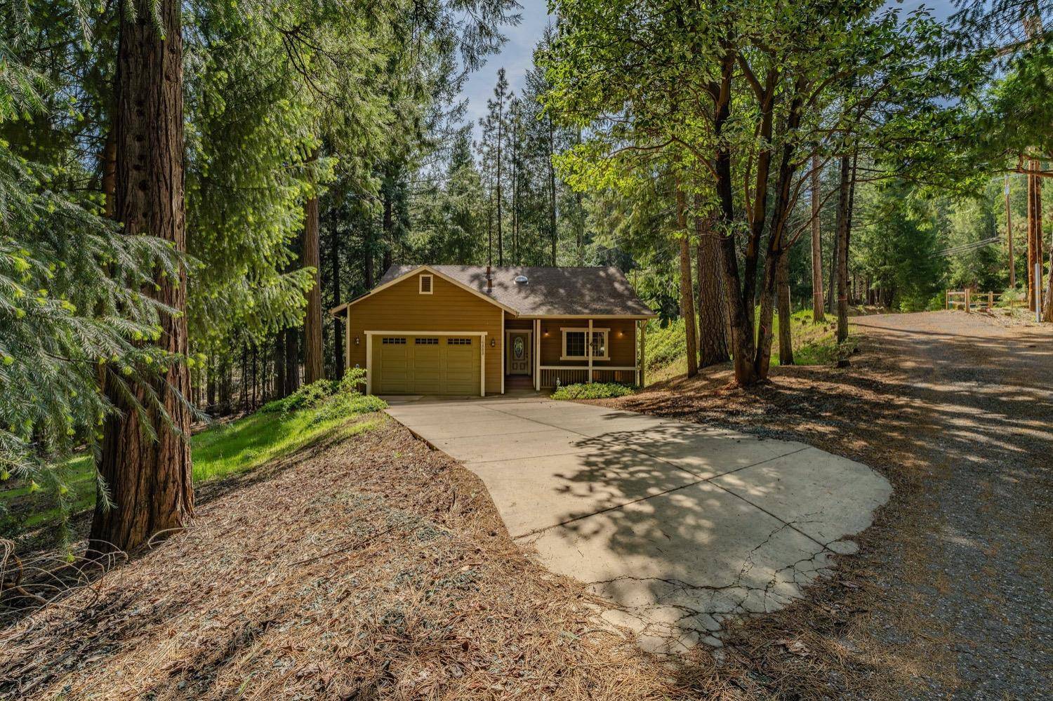 Pioneer, CA 95666,16888 McKenzie Drive