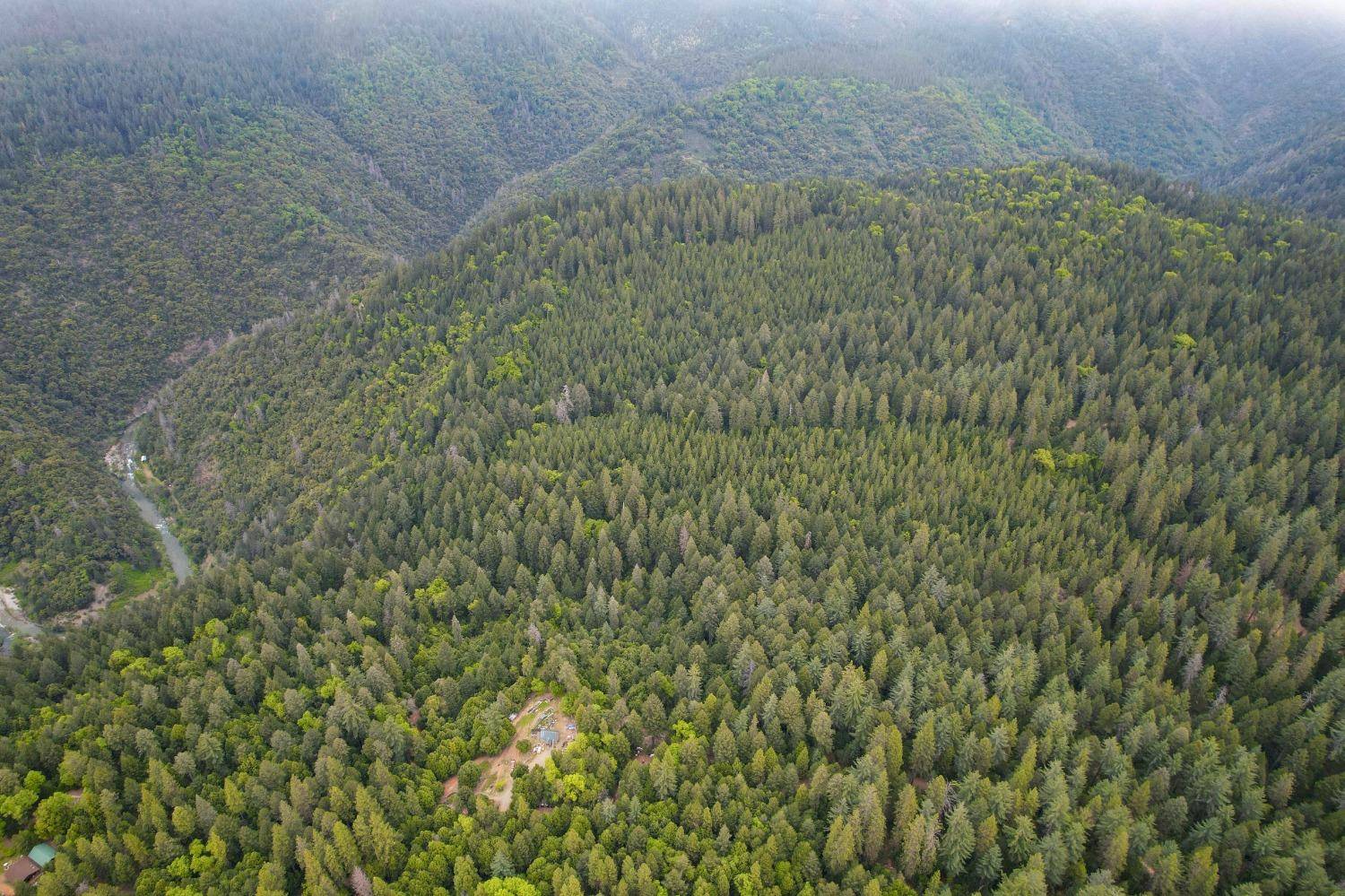 Nevada City, CA 95959,15420 Long Point RD