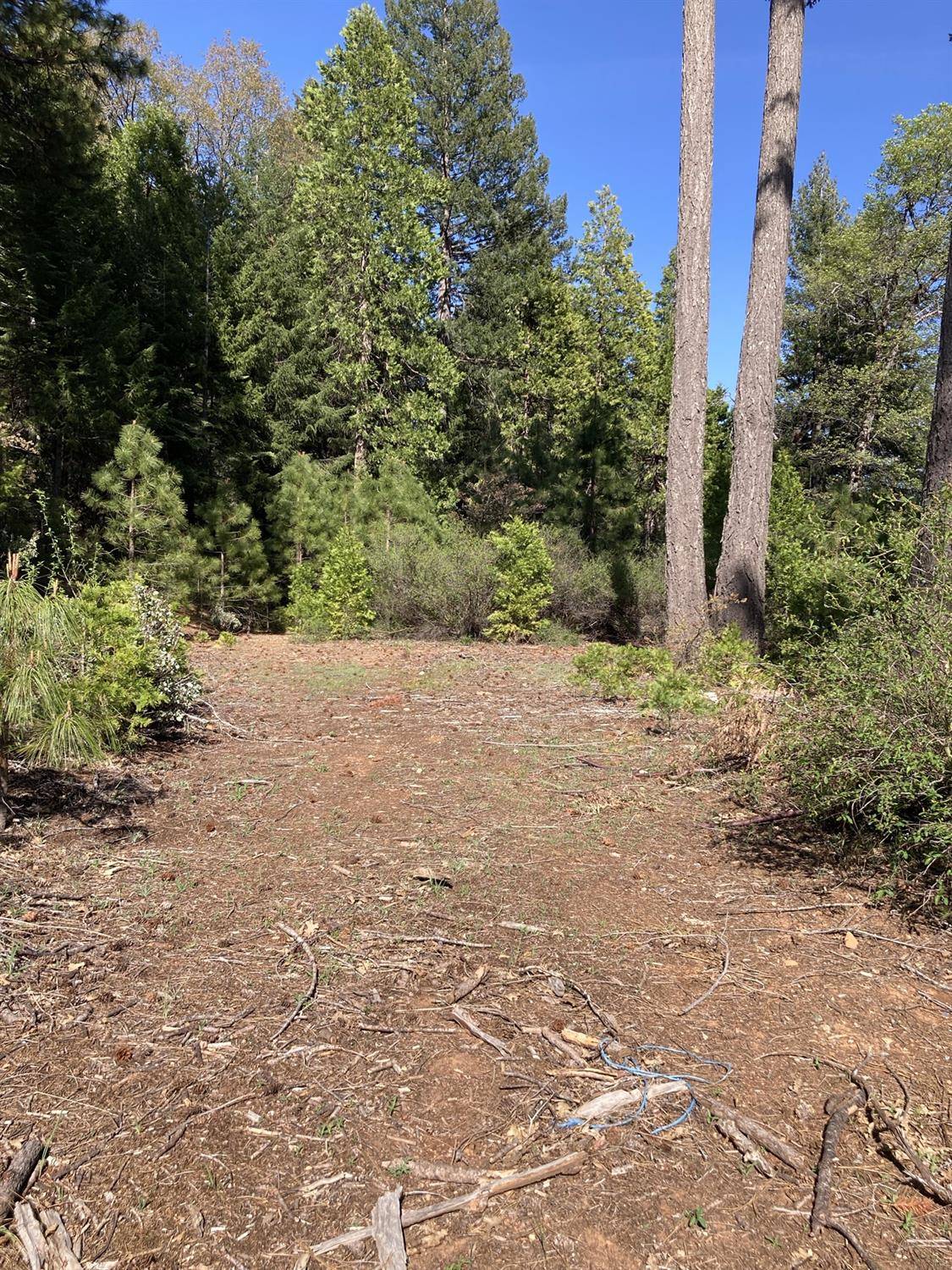 Alta, CA 95701,850 Sugar PIne RD