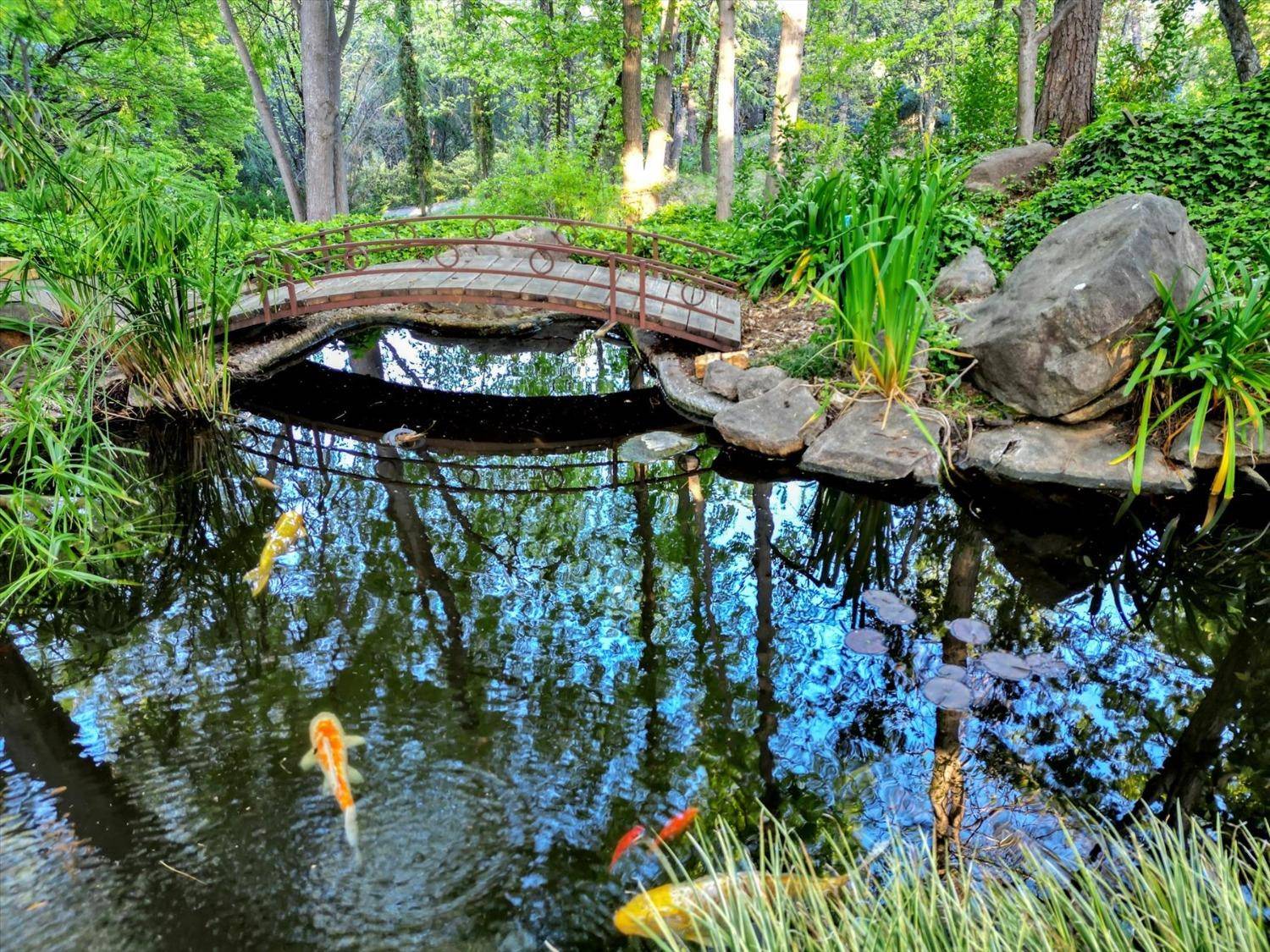 Grass Valley, CA 95949,14511 Clear Creek PL