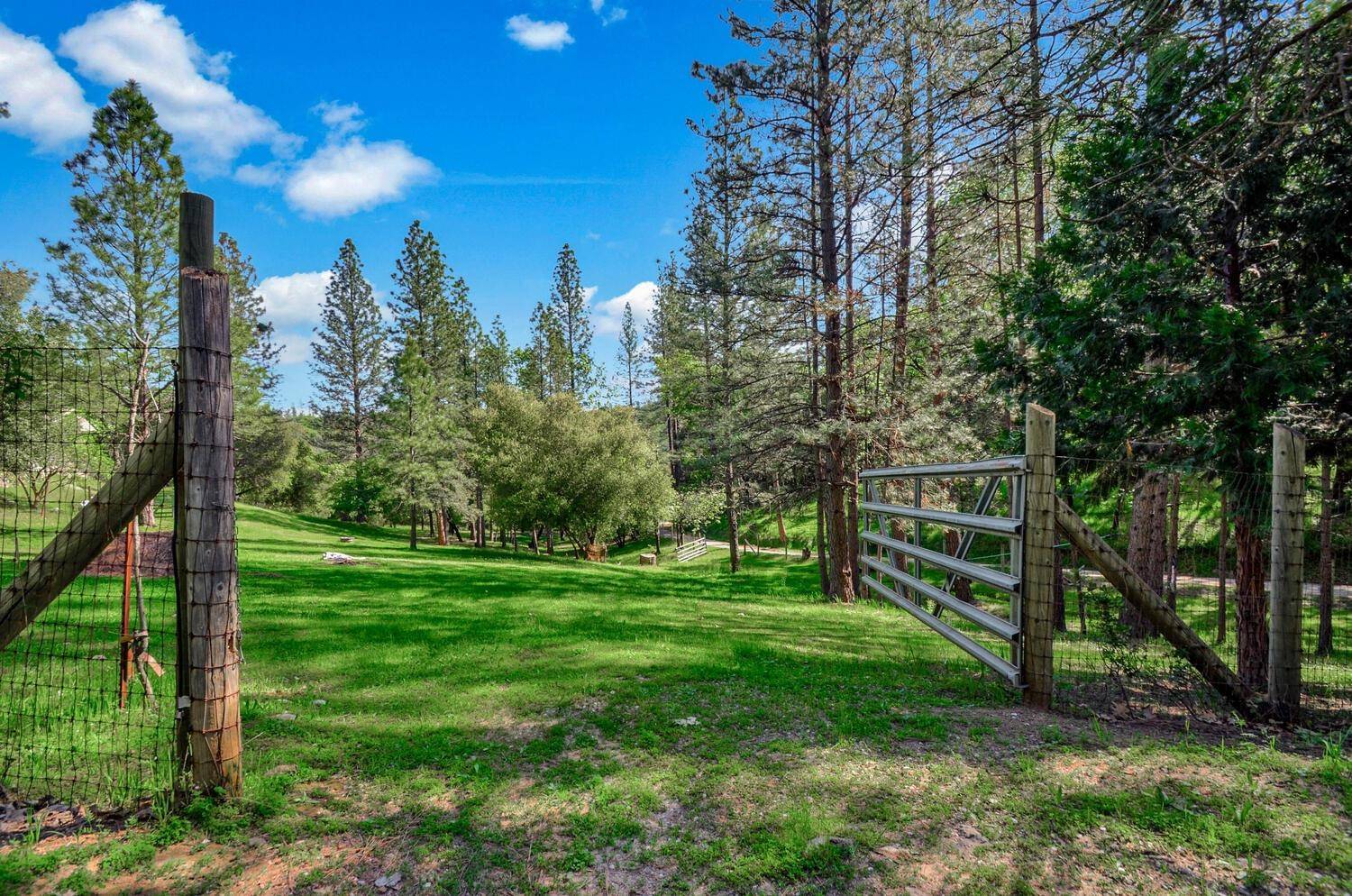 Sutter Creek, CA 95685,16296 Meadow RD