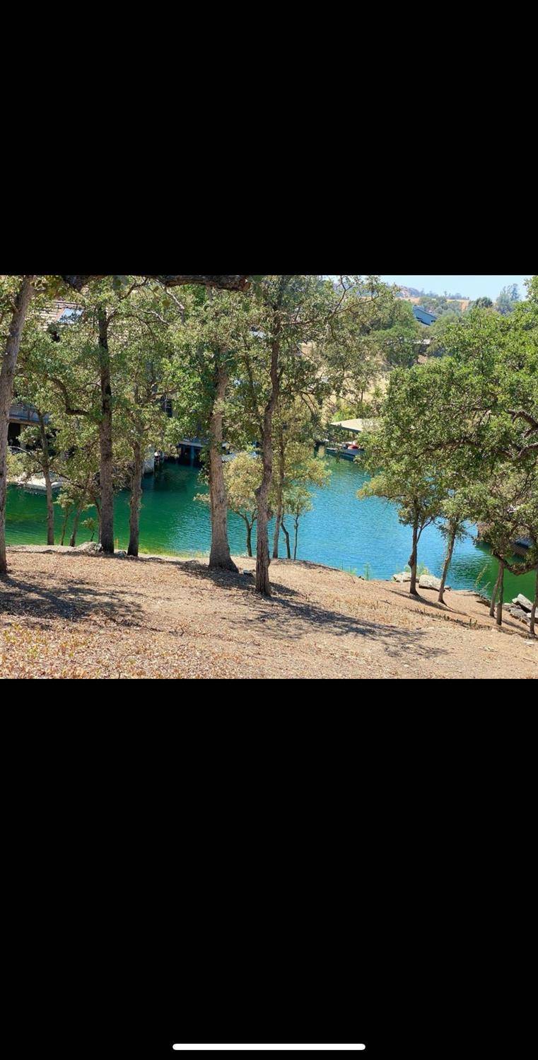 Copperopolis, CA 95228,554 Sunrise RD